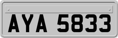 AYA5833