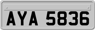 AYA5836