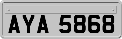 AYA5868