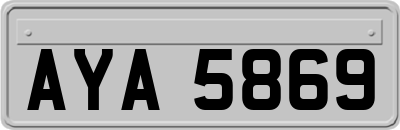 AYA5869