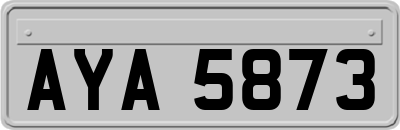 AYA5873