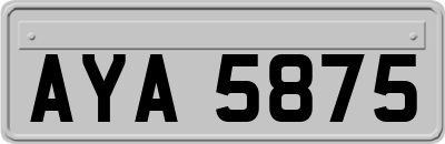 AYA5875