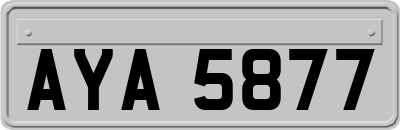 AYA5877