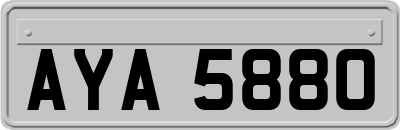 AYA5880