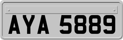 AYA5889