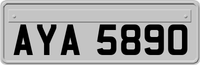 AYA5890