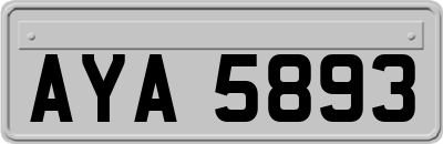AYA5893