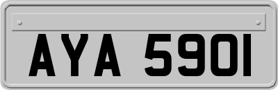 AYA5901