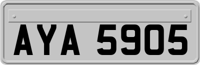 AYA5905