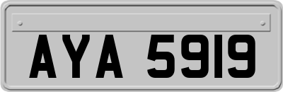 AYA5919