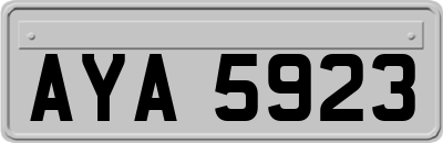 AYA5923