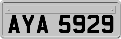 AYA5929