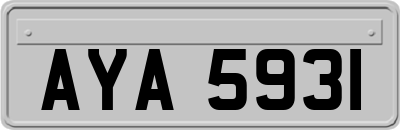 AYA5931