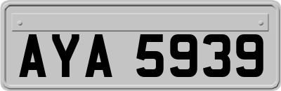 AYA5939