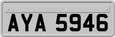 AYA5946