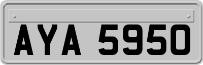 AYA5950