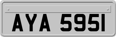 AYA5951