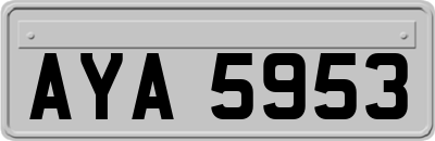 AYA5953