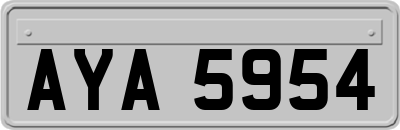 AYA5954