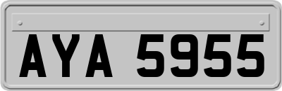 AYA5955