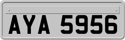 AYA5956