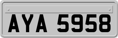 AYA5958