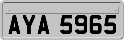 AYA5965