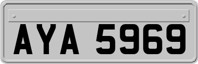AYA5969