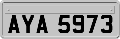 AYA5973