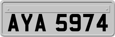 AYA5974