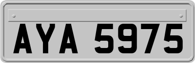 AYA5975