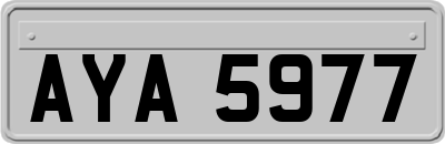 AYA5977
