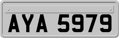 AYA5979