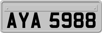 AYA5988