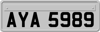 AYA5989