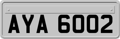 AYA6002