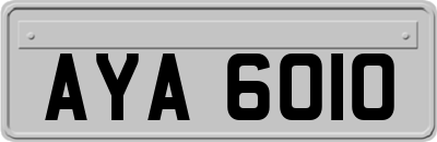 AYA6010