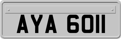 AYA6011