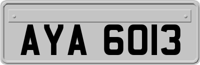 AYA6013