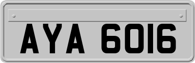 AYA6016