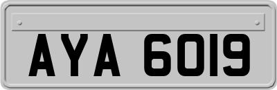 AYA6019