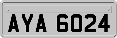 AYA6024