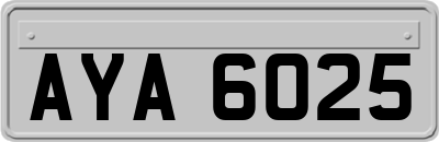 AYA6025