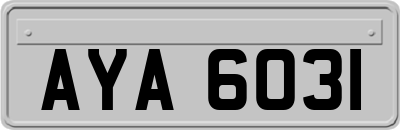 AYA6031