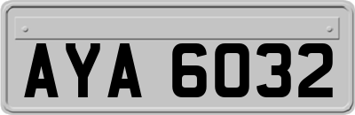 AYA6032