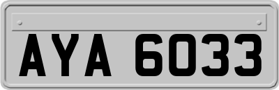 AYA6033