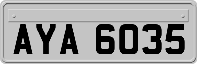 AYA6035