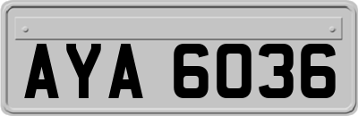 AYA6036