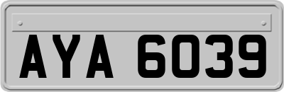 AYA6039