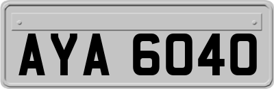 AYA6040
